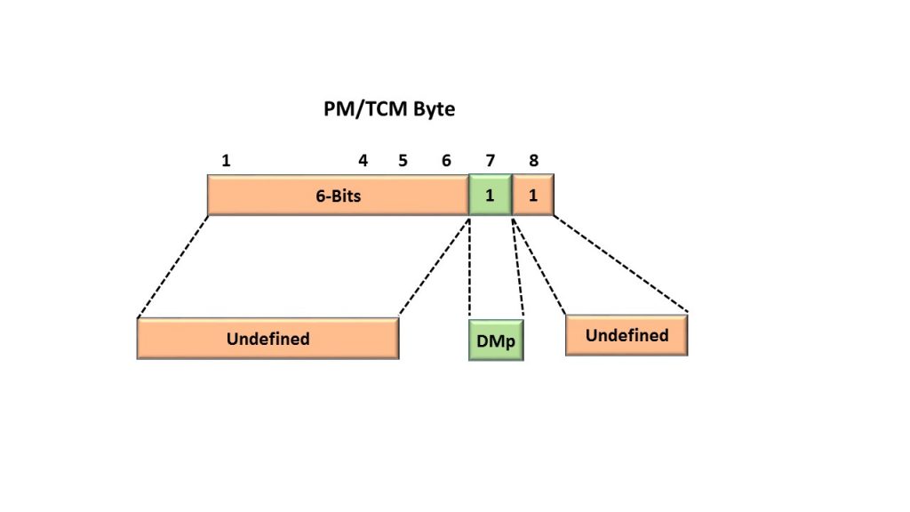 PM/TCM (Tandem Connection Monitoring) Byte