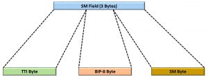 OTU - SM (Section Monitoring) Field, TTI Byte, BIP-8 Byte, SM Byte