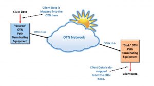 OTN Path Terminating Equipment connected to the Optical Transport Network