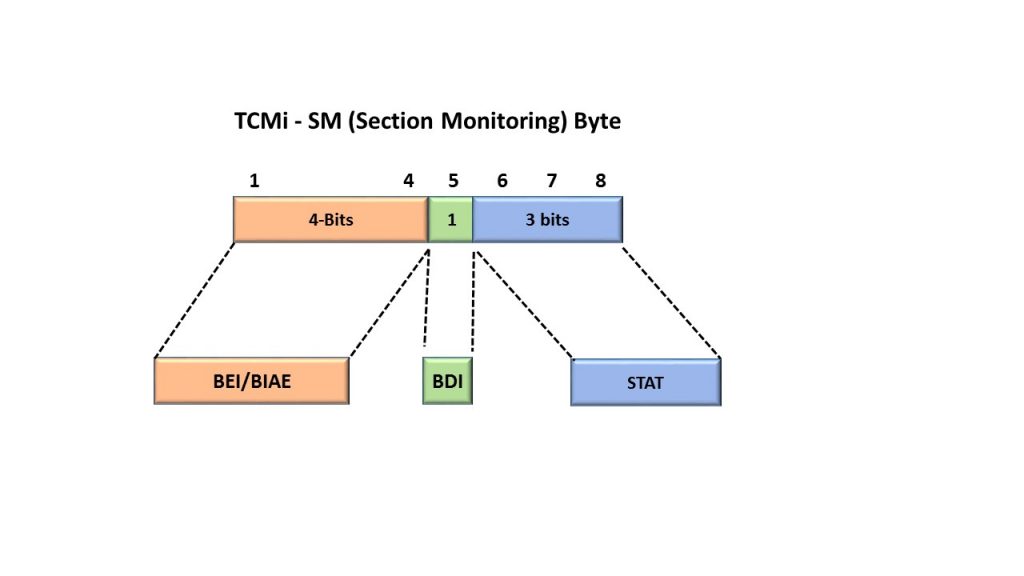 TCM Section Monitoring Byte