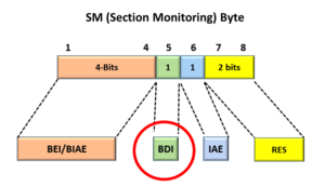 SM Byte with OTUk-BDI field identified