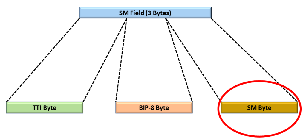 SM field with the SM Byte identified