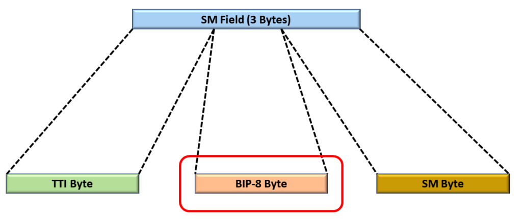Location of BIP-8 Byte within Section Monitoring Field