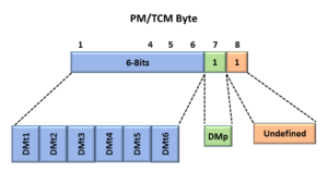 Path Montoring/Tandem Connection Monitor Byte