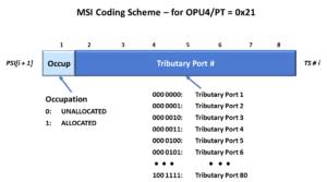 Mutliplex Structure Identifier Definition for OPU4 Applications