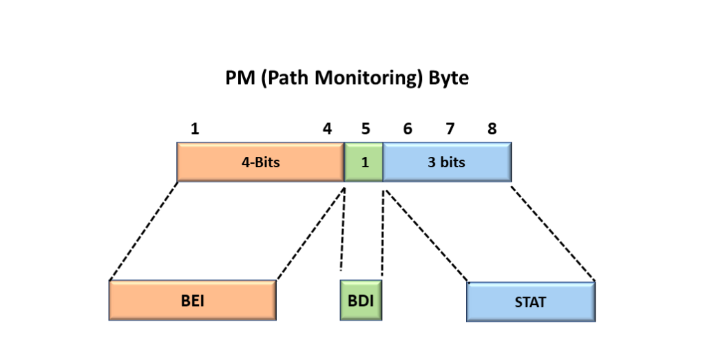 Bit Level View of the PM Byte