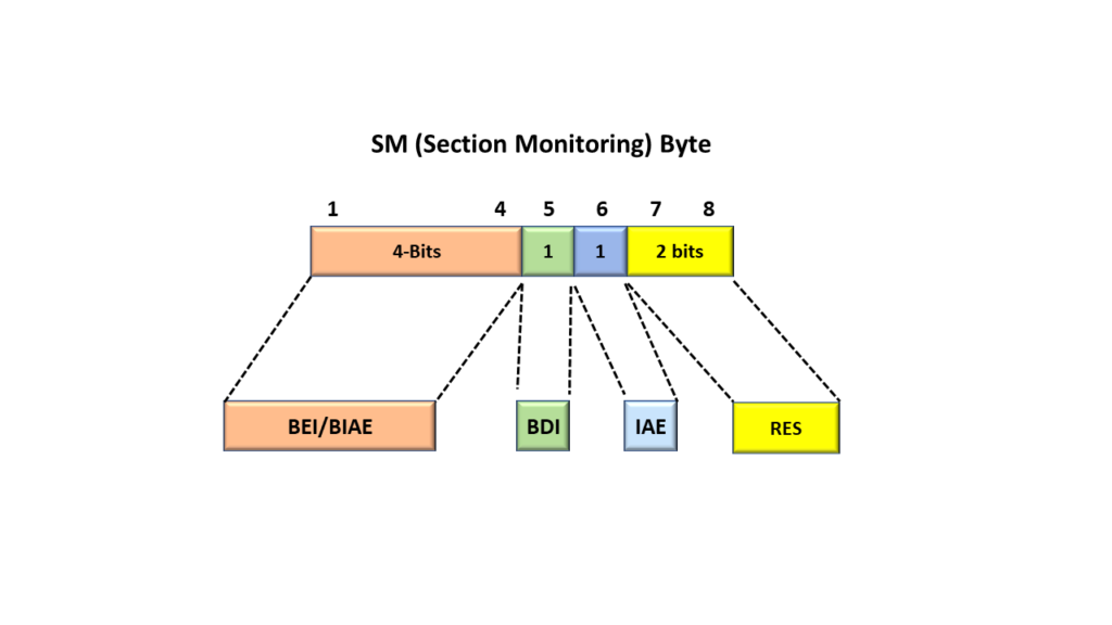 Bit Level View of the Section Monitoring Byte