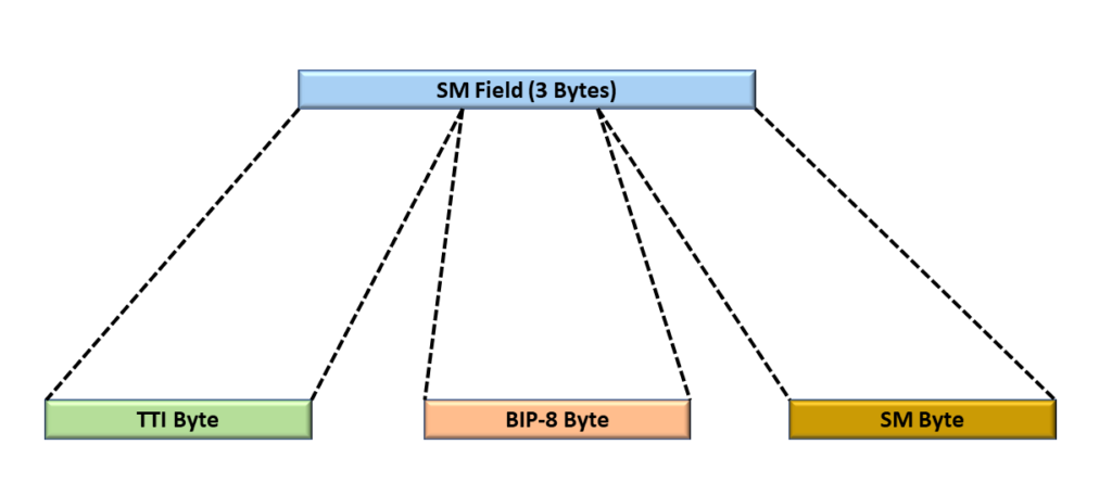 Byte-Level View of the Section Monitoring Field