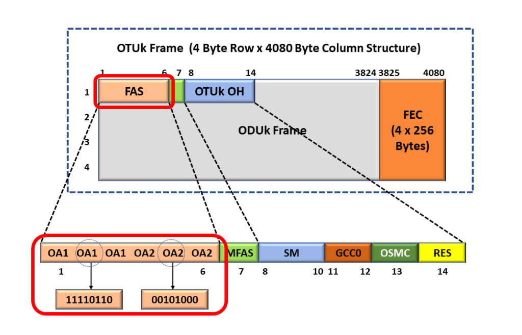 OTUk Frame and Overhead with the FAS Field Highlighted