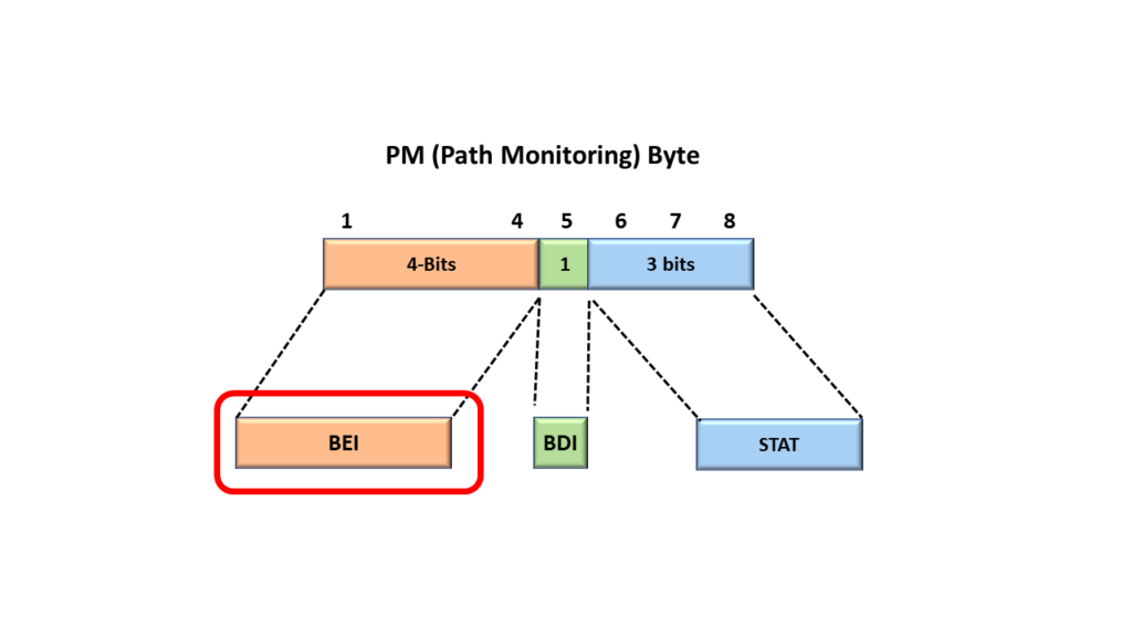 PM Byte field with the PM-BEI Nibble-field Highlighted