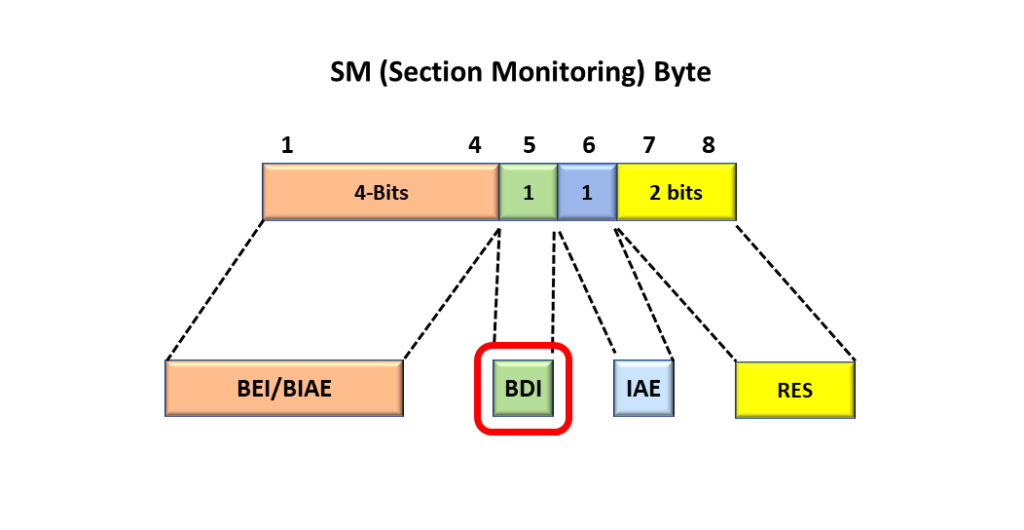 SM Byte-field with the SM-BDI bit-field highlighted