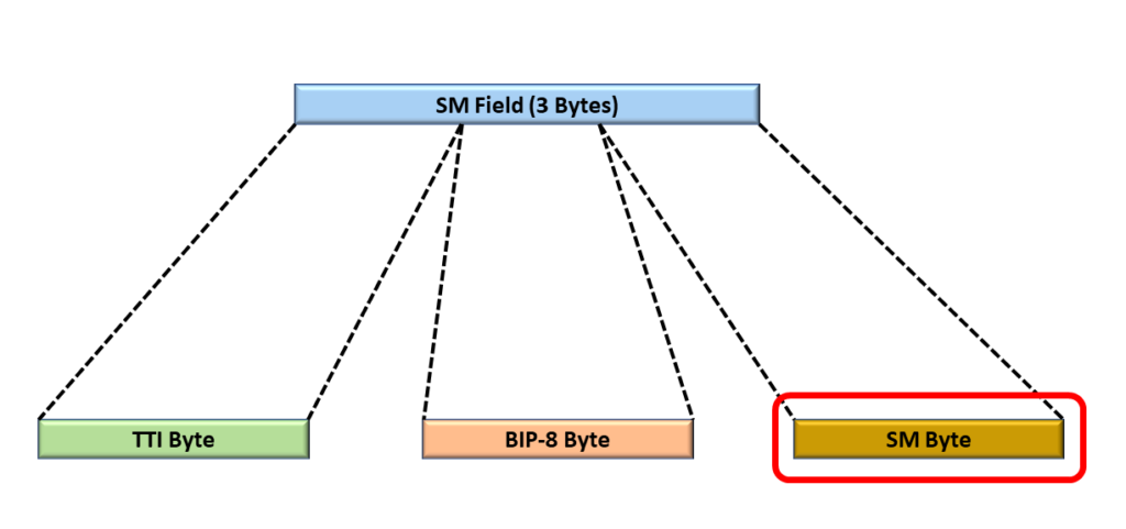 SM Field with the SM Byte Highlighted