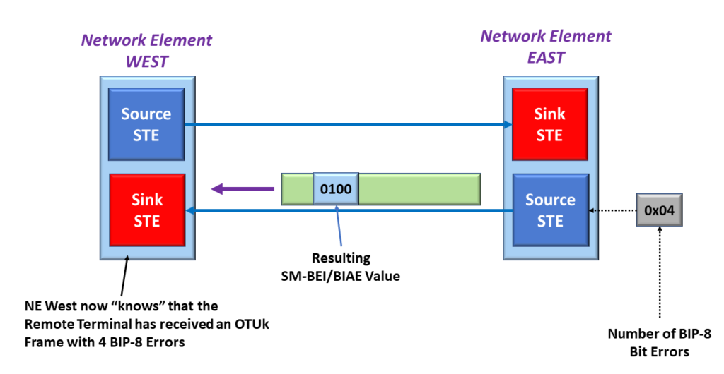 Source STE sets SM-BEI/BIAE to 4 in response to SM-BIP-8 Errors