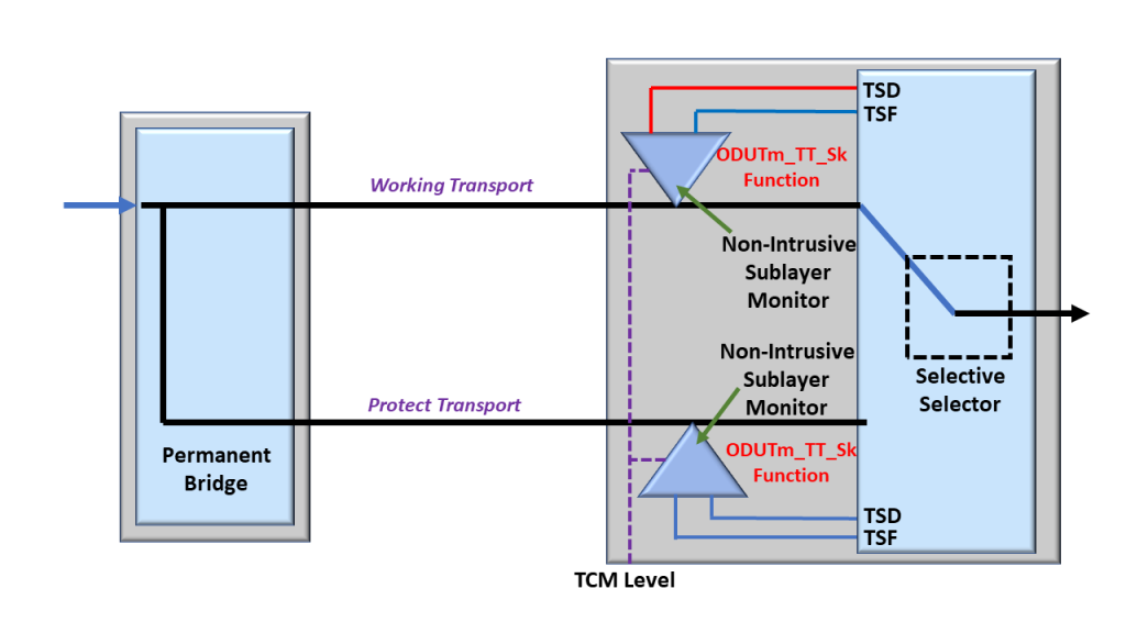 ODUTm_TT_Sk Atomic Function asserts the AI_TSD output signal towards the Protection-Switching Controller