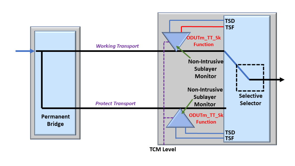 ODUTm_TT_Sk Function asserts the AI_TSF output towards the Protection Switching Controller