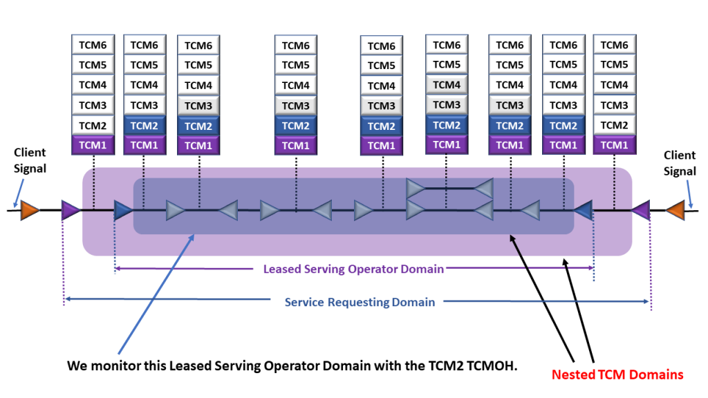 Nested Domains - Leased Serving Operator and Service Requesting Domains