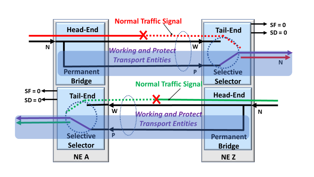 Protection Group using the 1+1 Protection Architecture with the Protection Transport Entities highlighted