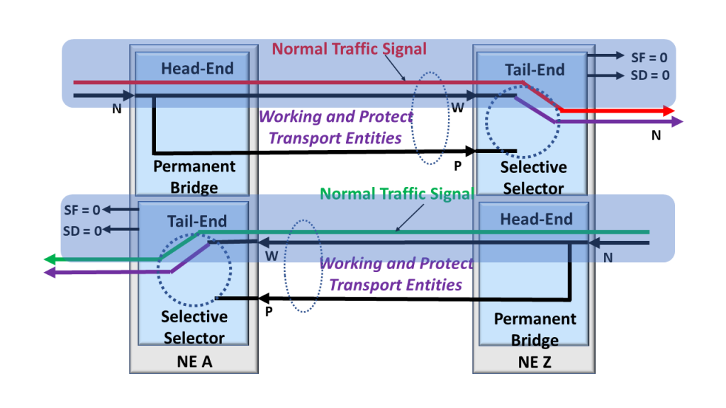 Protection Group using the 1+1 Protection Architecture with the Working Transport entities highlighted