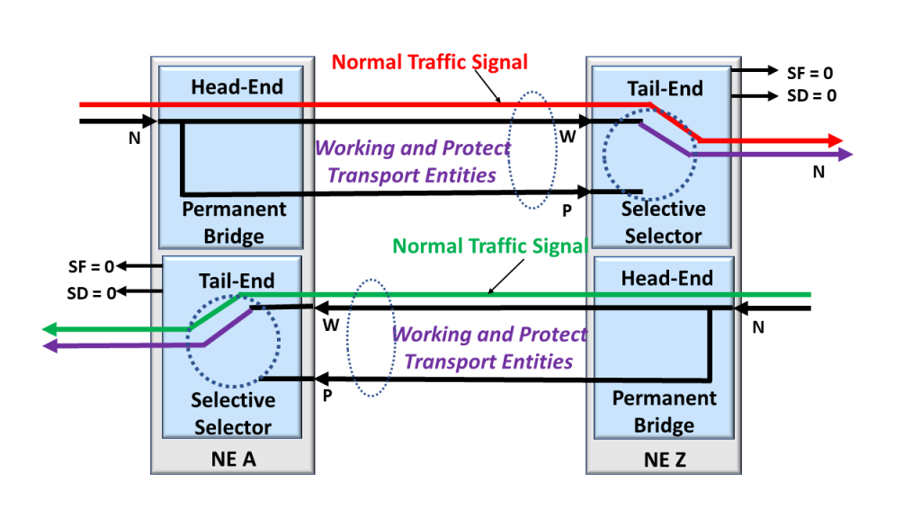 Protection Group - 1+1 Protection Architecture, Bidirectional Traffic Shown