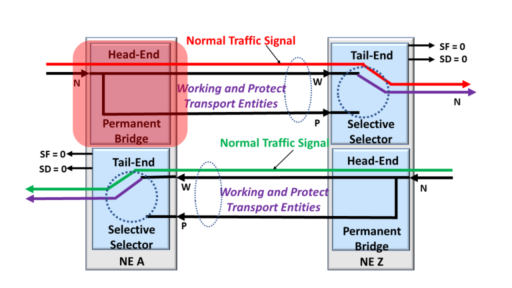 1+1 Protection Architecture with the Permanent Bridge Highlighted