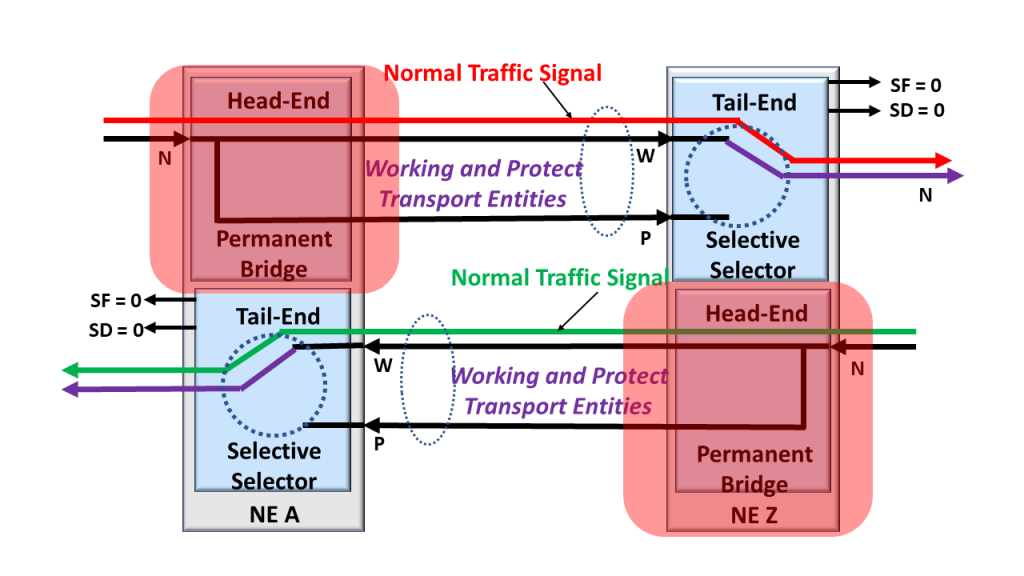 1+1 Protection Architecture, Bidirectional Traffic, and Head-Ends Highlighted