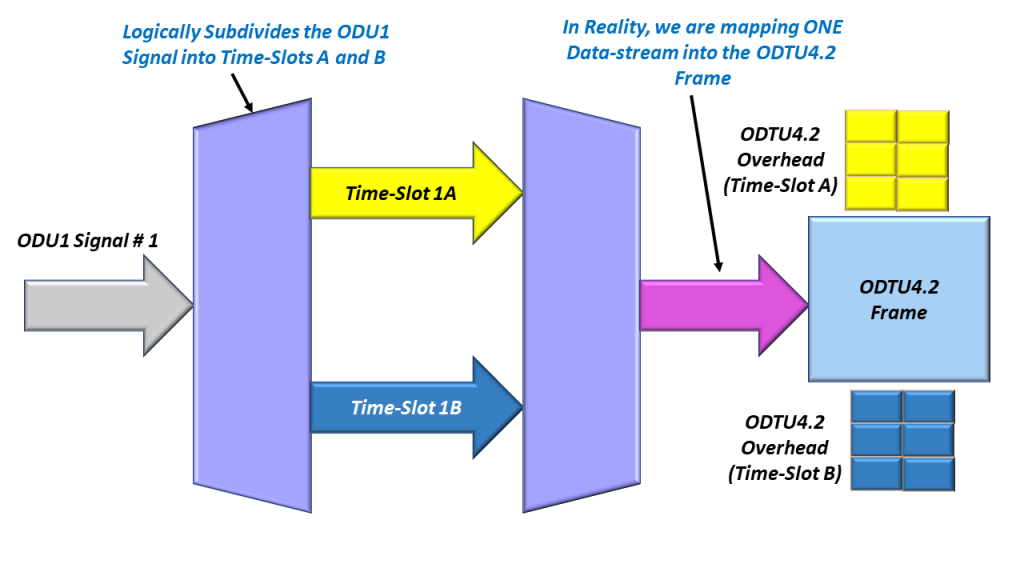 How We Logically Subdivide an ODU1 Tributary Signal into 2 time-slots as we GMP map this data into its ODTU4.2 Frame/Signal