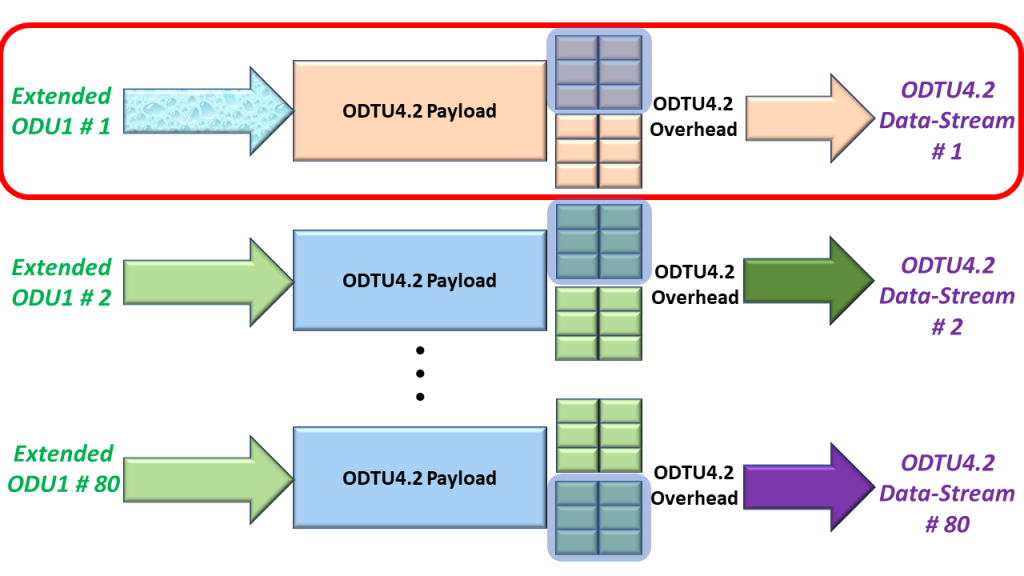 A Focus on Mapping ODU1 Tributary Signal # 1 into its ODTU4.2 Signal - GMP Mapping