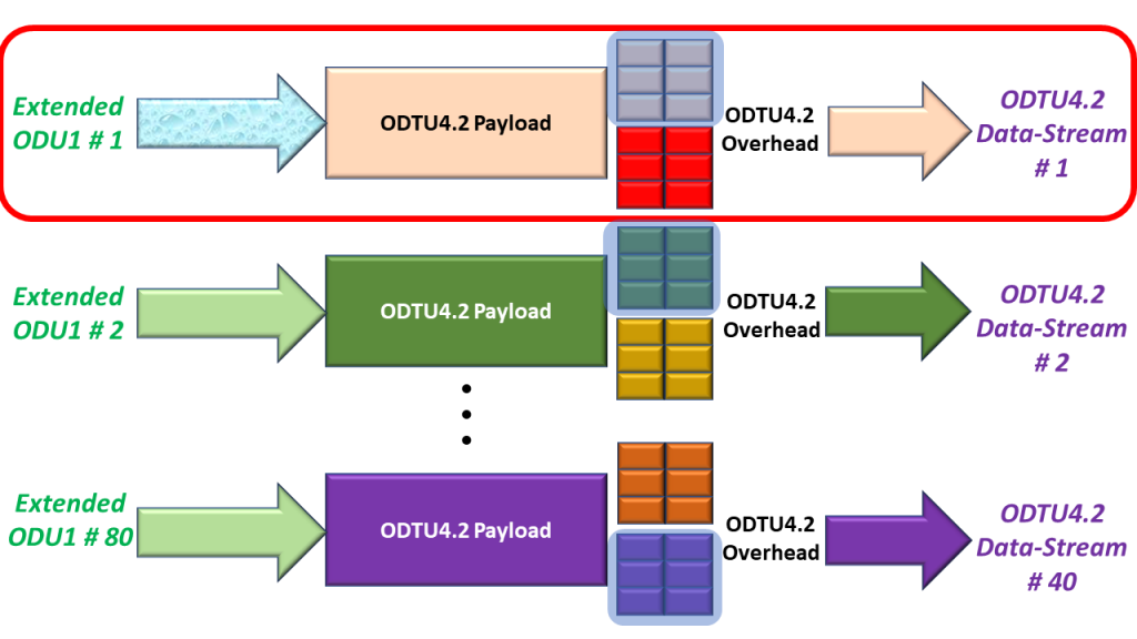 A Focus on Mapping ODU1 Tributary Signal # 1 into its ODTU4.2 Signal - GMP Mapping