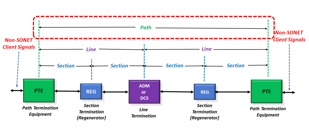 Identifcation of the Path Layer within our SONET Reference Model.